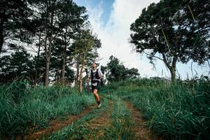 BIB: 
                            <button type="button" onclick="openModal(26023733)" class="btn btn-primary btn-sm float-right btn-popup" data-toggle="modal" data-target=".modal-high-quality">
                        <i class="fas fa-shopping-cart"></i> Add to Cart
                    </button>
                                            <button type="button" onclick="isThisMe(26023733, true)" class="btn btn-success btn-sm float-right btn-popup btn-isme hidden" data-toggle="tooltip" data-placement="bottom" title="นี่คือรูปของคุณใช่ไหม คลิกที่นี่เพื่อเอาเข้าอัลบั้ม">
                        <i class="fas fa-plus"></i> Add to album
                    </button>
                    <button type="button" onclick="isThisMe(26023733, false)" class="btn btn-warning btn-sm float-right btn-popup btn-isnotme hidden">
                        <i class="fas fa-ban"></i> Remove from album
                    </button>